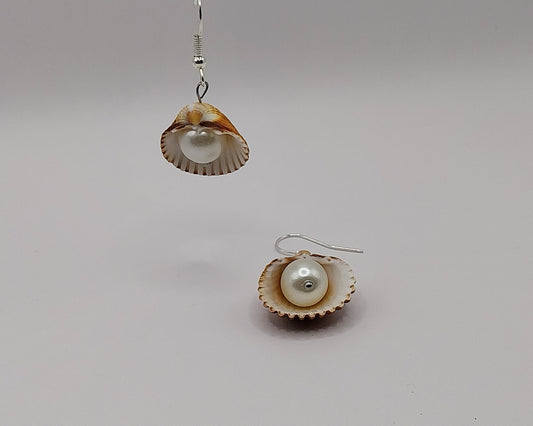 Muscheln Ohrringen mit Perle – handgemacht; natürlich schön