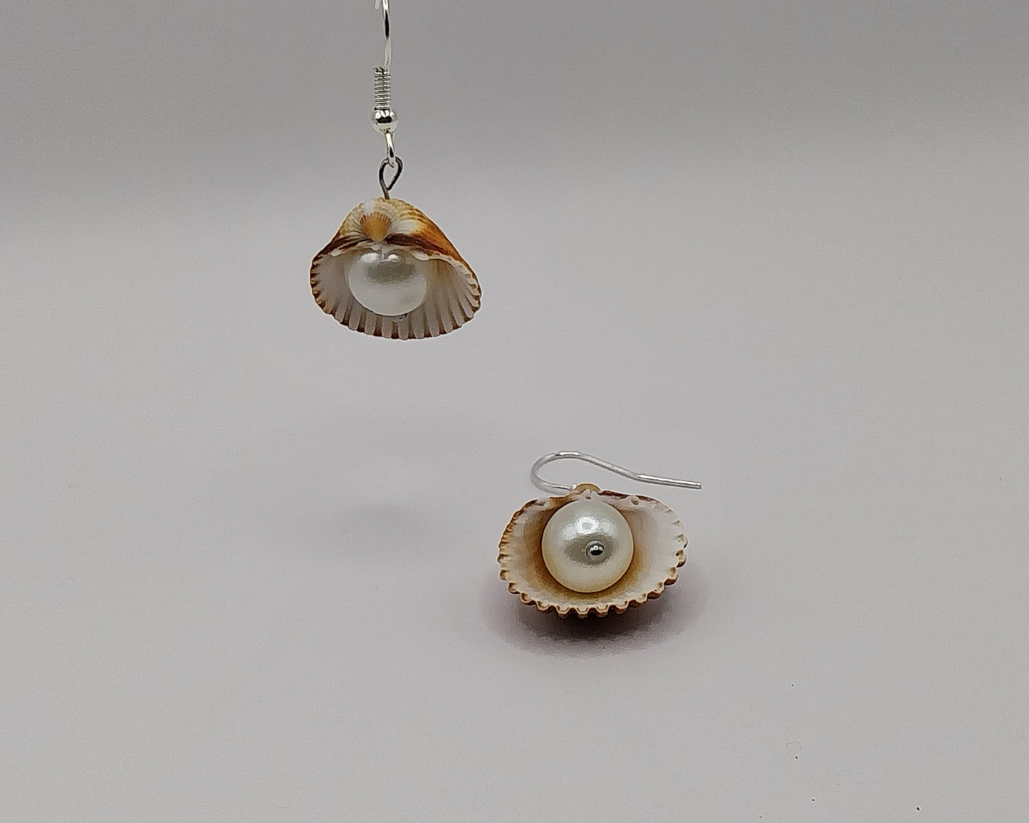 Muscheln Ohrringen mit Perle – handgemacht; natürlich schön