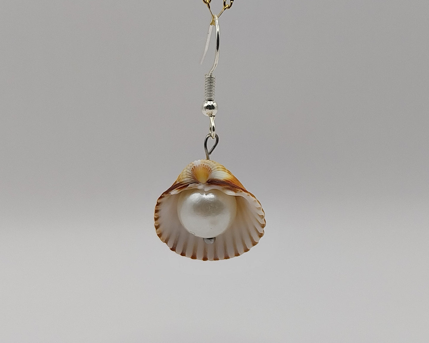 Muscheln Ohrringen mit Perle – handgemacht; natürlich schön