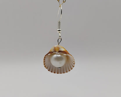 Muscheln Ohrringen mit Perle – handgemacht; natürlich schön